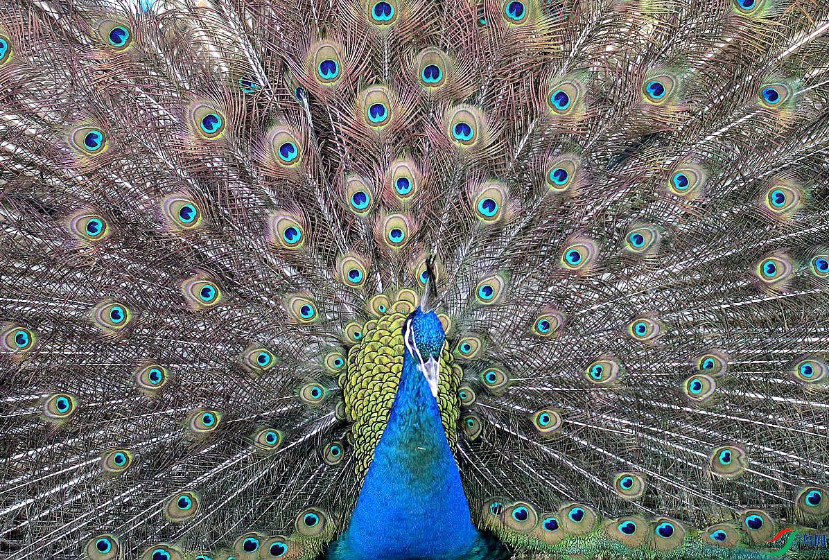 IMG_0140.jpg