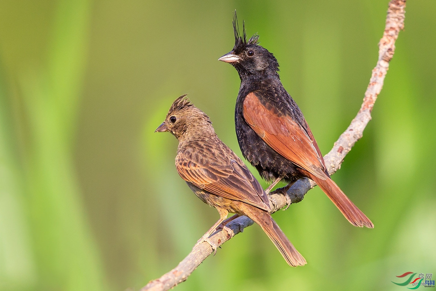 ��һ  ��ʦ�����ڹ���׳��������������������.jpg