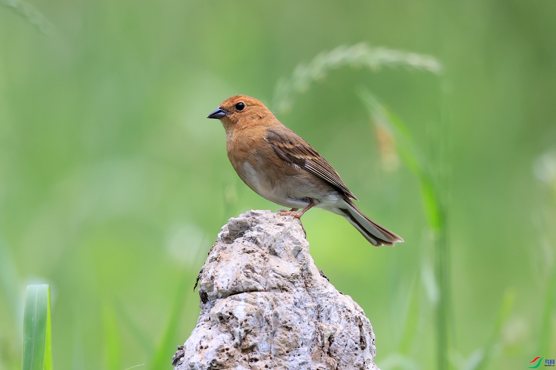 ������  ��ʦ�������Ĵ�ʡ��ɽ��.jpg