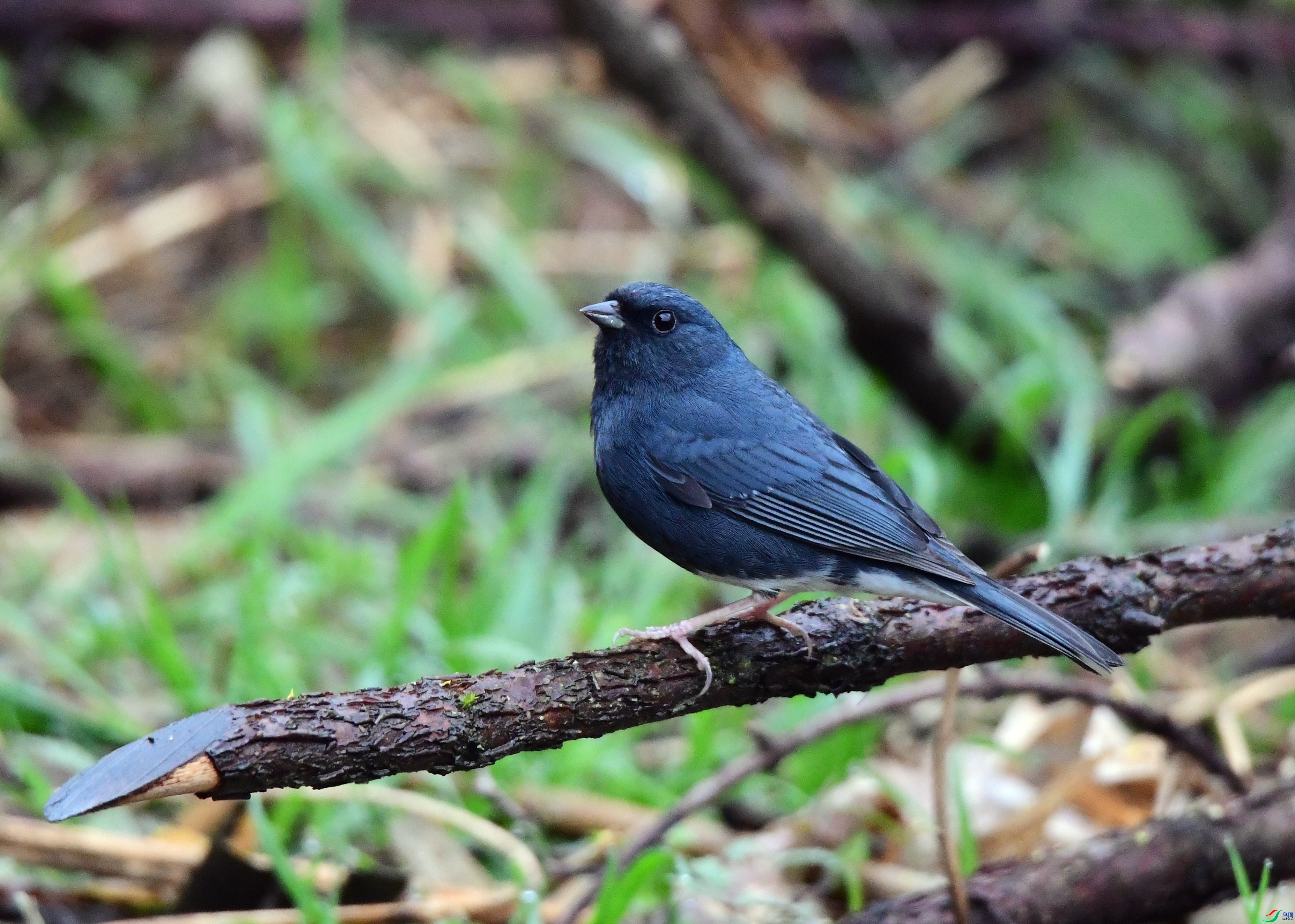 ������  ��ʦ����������ʡ������.jpg