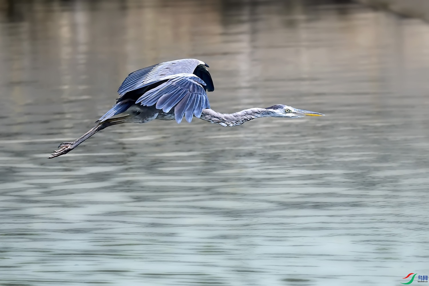 DSC_6723.jpg