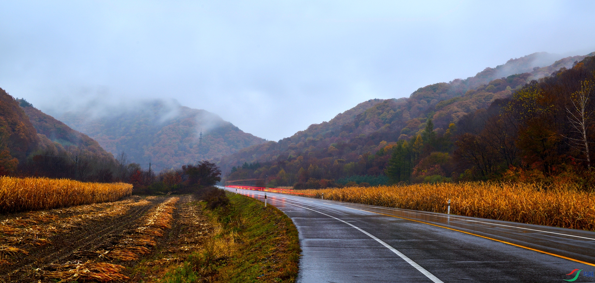 _DSC2964==1w.jpg