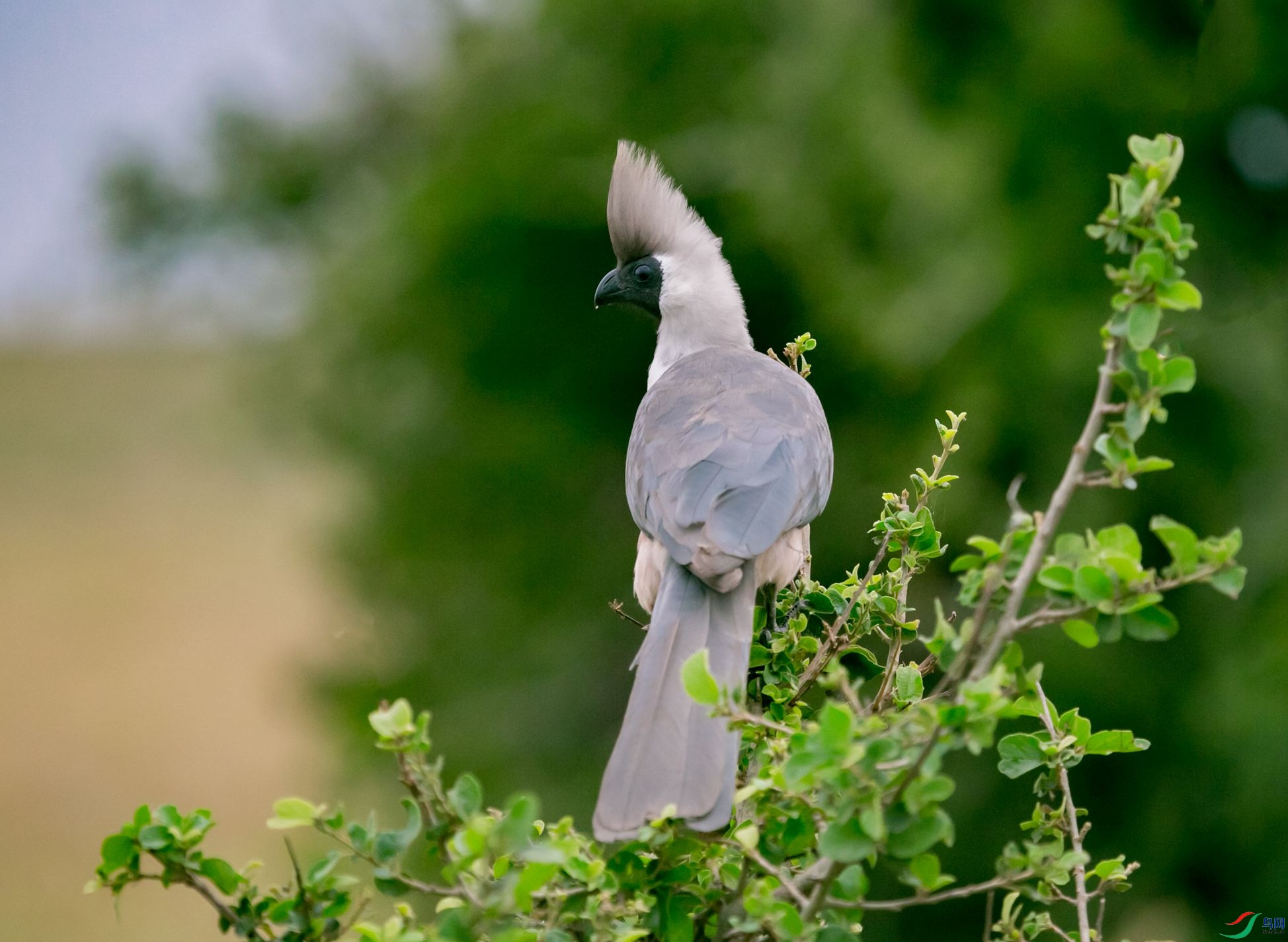 �����ҽ���