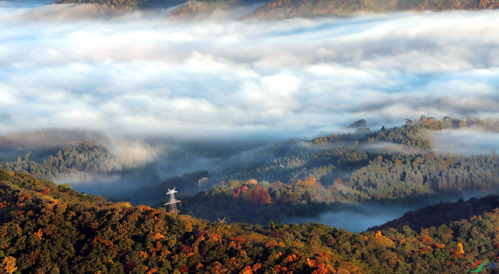 �ķ�������ɫ