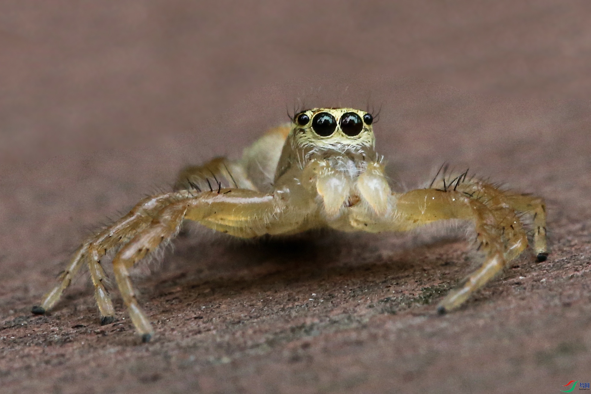 1C6A9376.jpg