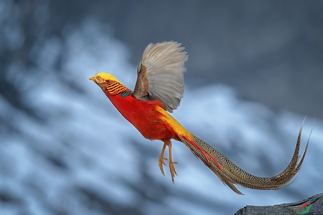 �����������ϴ塣