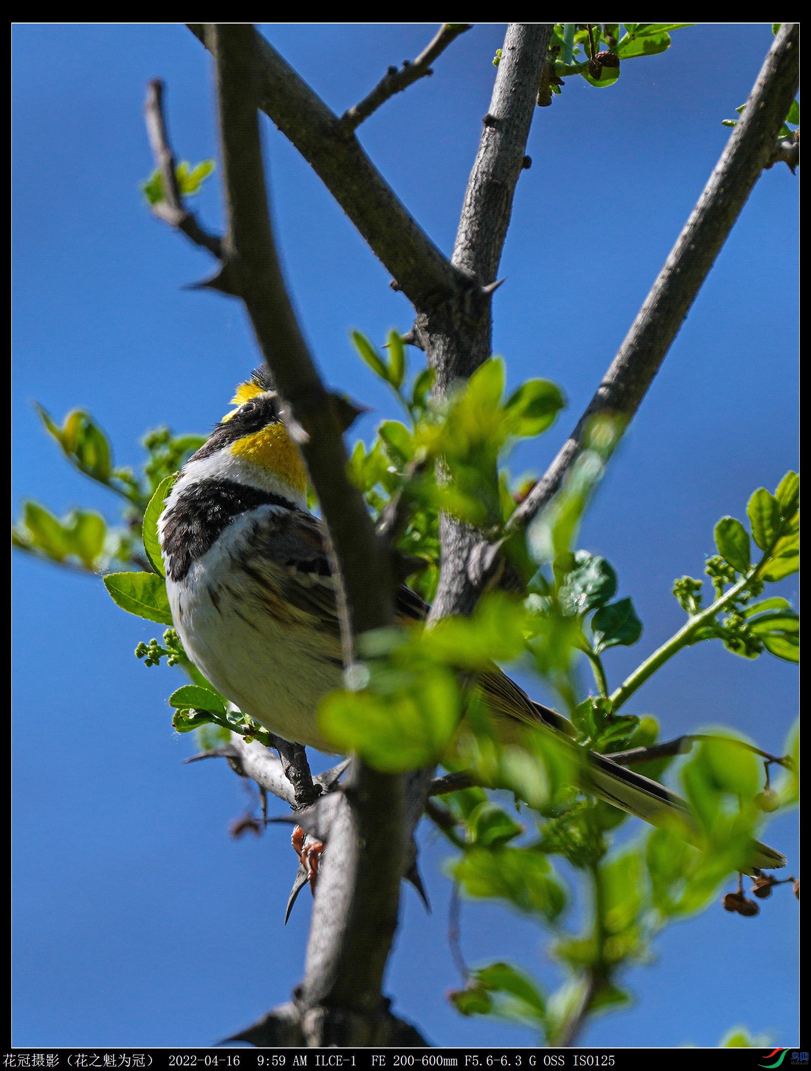 DSC04256B-2_����_����.jpg