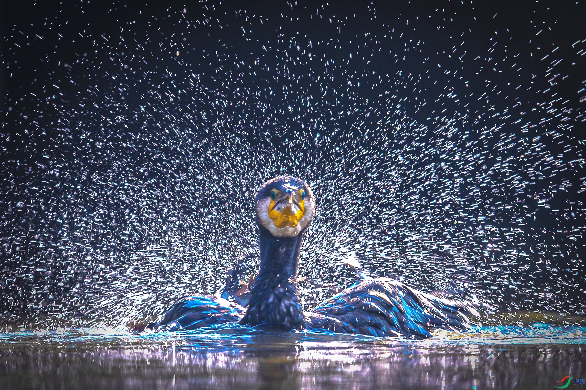 BP1I5210-2 ����-2 ����.jpg