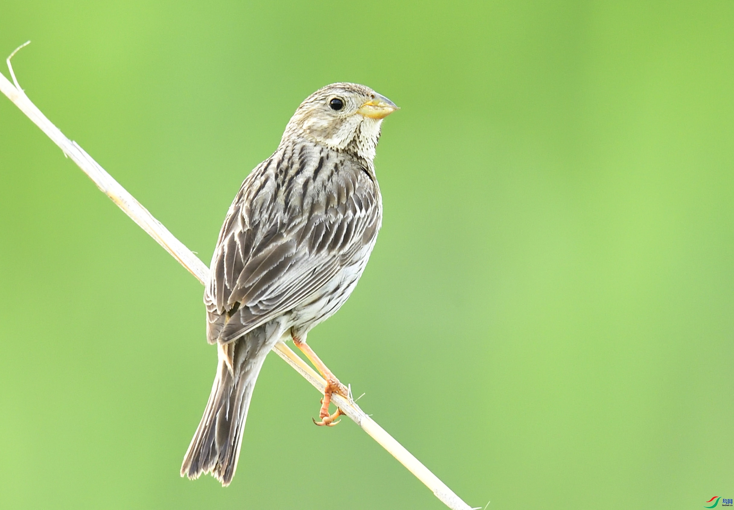 ��Ҳ����  ��ʦ��������.��.ά.��.��.��������.��.��.��.����������Դ��.jpg