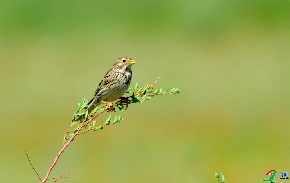 ���789  ��ʦ��������.��.ά.��.��.���������ǵ���������.jpg