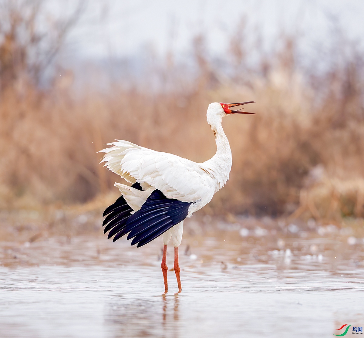 2_A5A5890-1.jpg