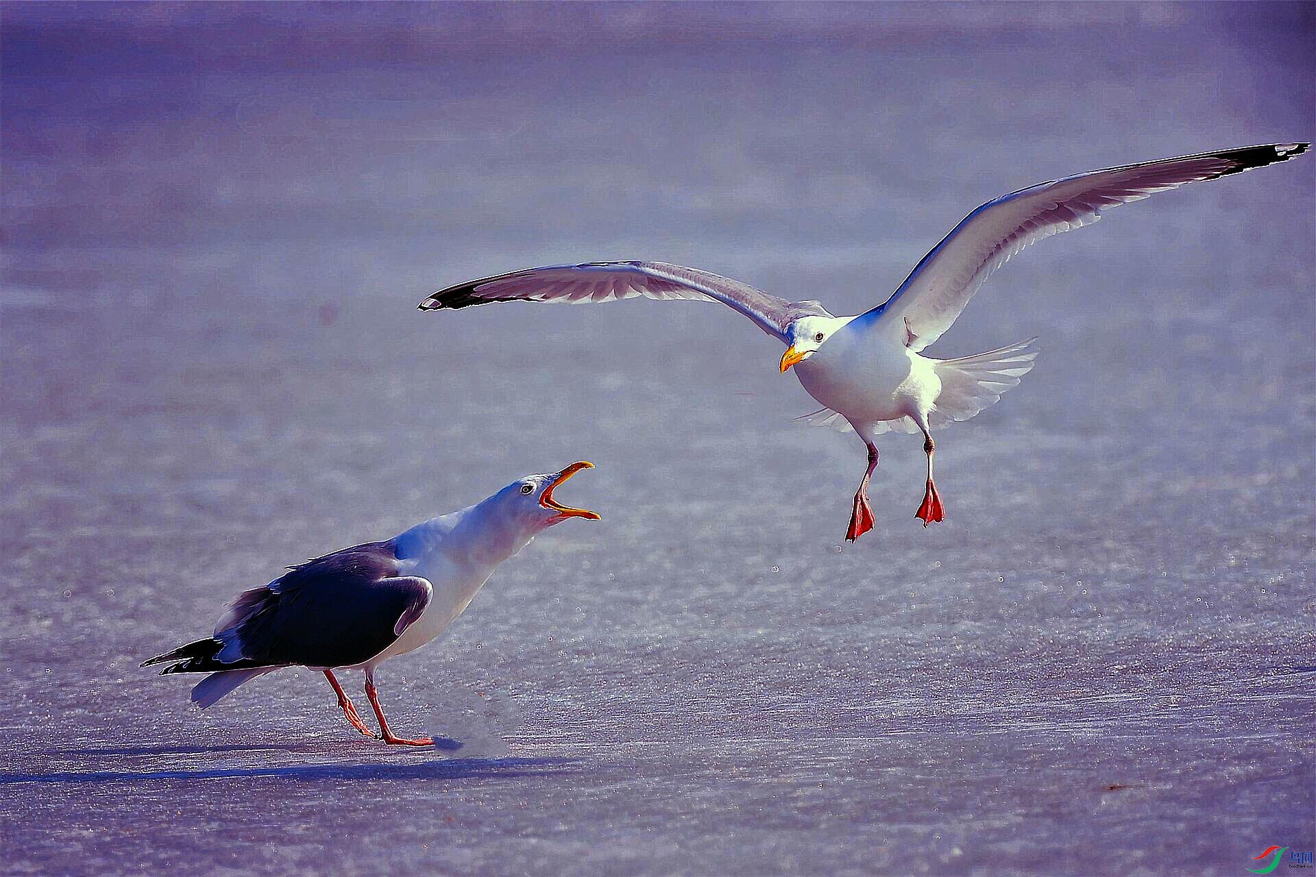 _DSC1040_����.jpg
