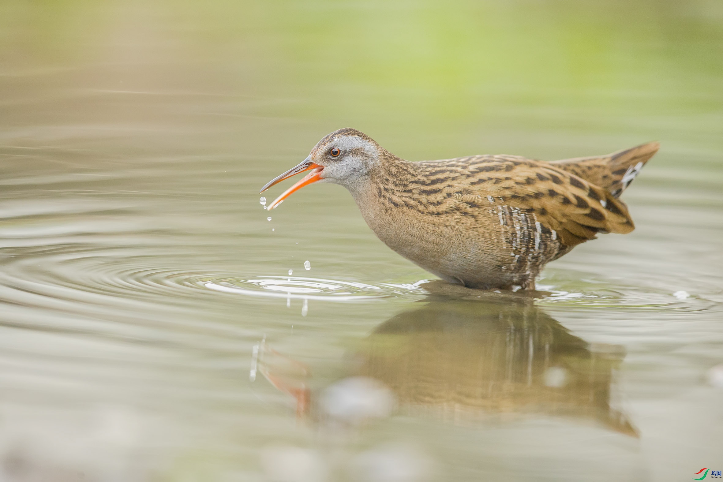 AA7I6832-- (6).jpg