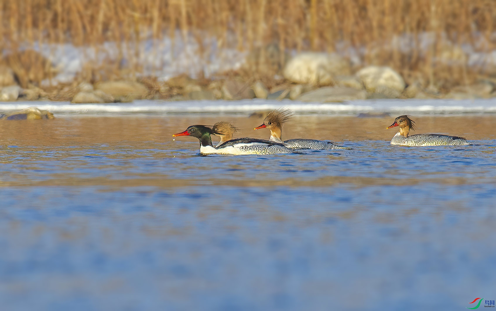 DS1_4142.jpg