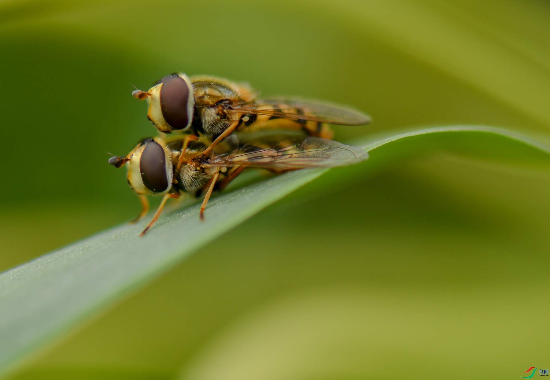 DSC_8024.jpg