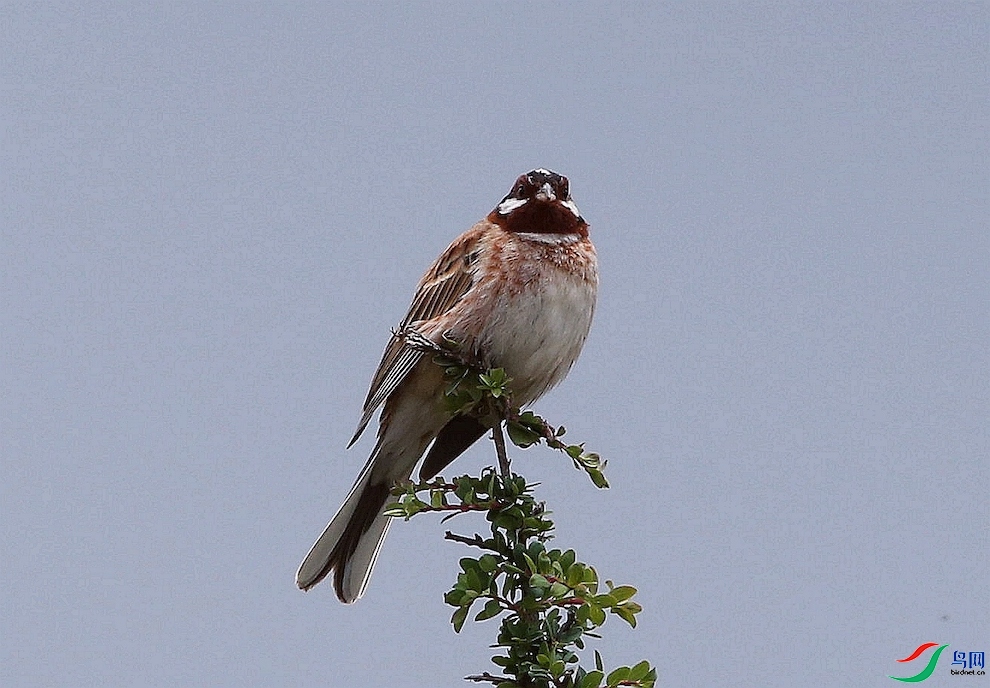 �����ϼ�   ��ʦ�������ຣʡ���ϲ��������ݺ����ɹ���������.jpg