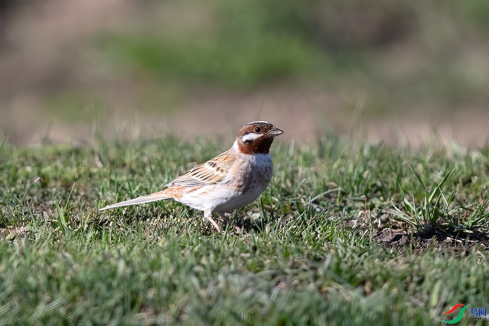 ��������  ��ʦ��������.��.ά.��.��.���������ǵ���.jpg