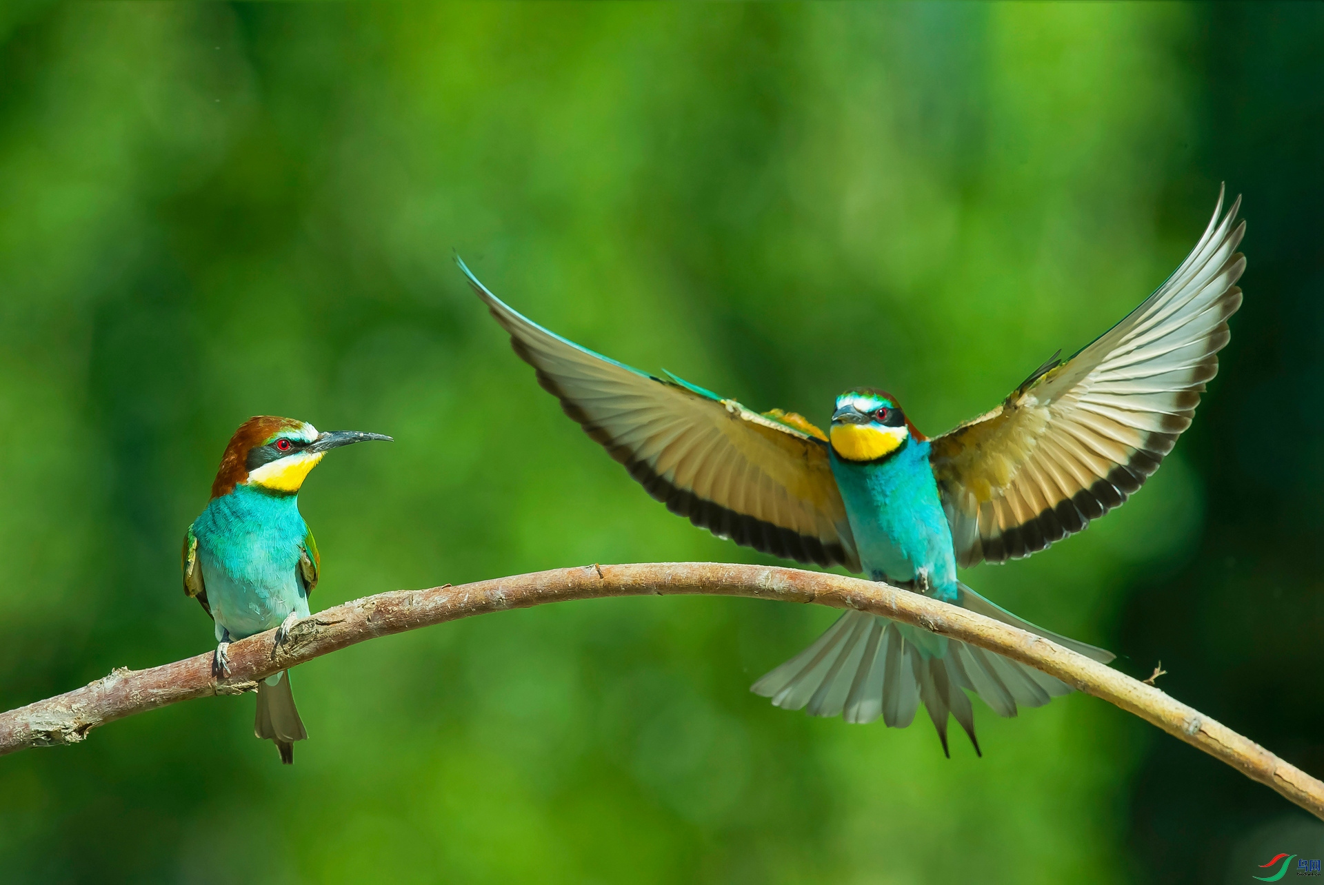 ������  �ƺ��仢����ݶ� 15591821688��.jpg