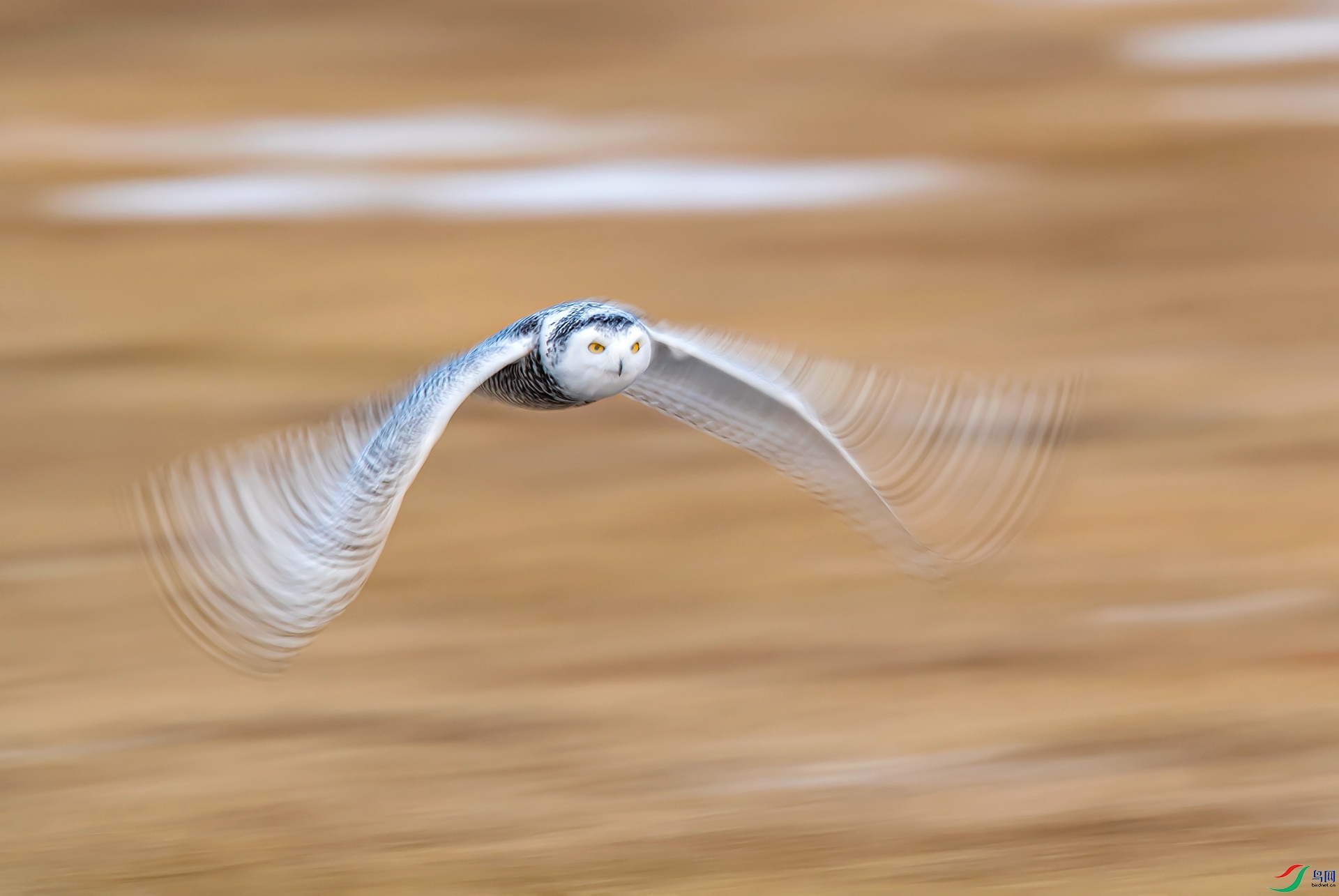 ������  �趯�ĳ�� ����ݶ�����ʡ15591821688��.jpg