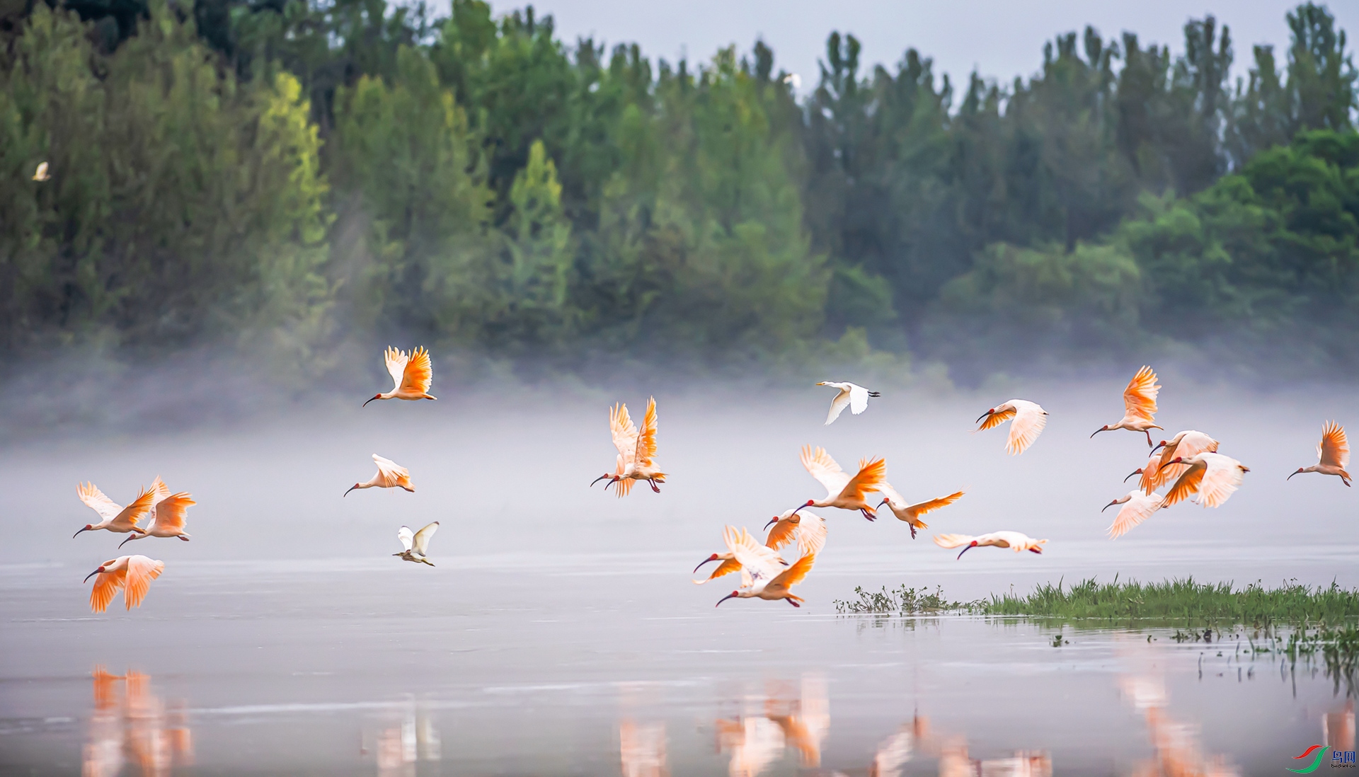 ������ ������q����ݶ� 15591821688��.jpg