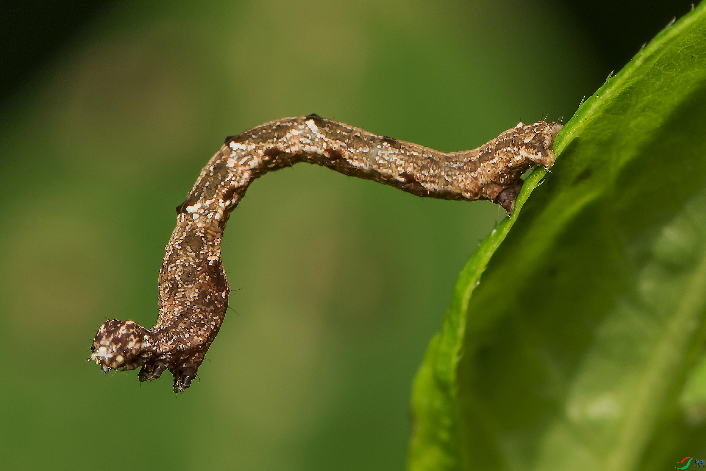 DSC_7922.jpg