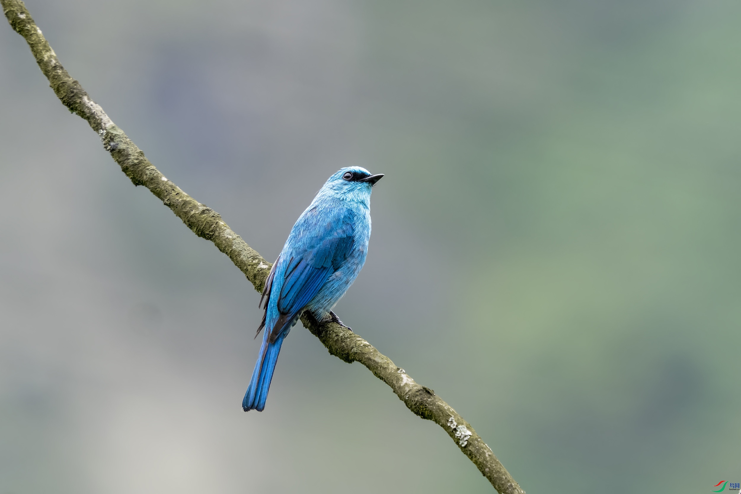 P5201877-1.jpg