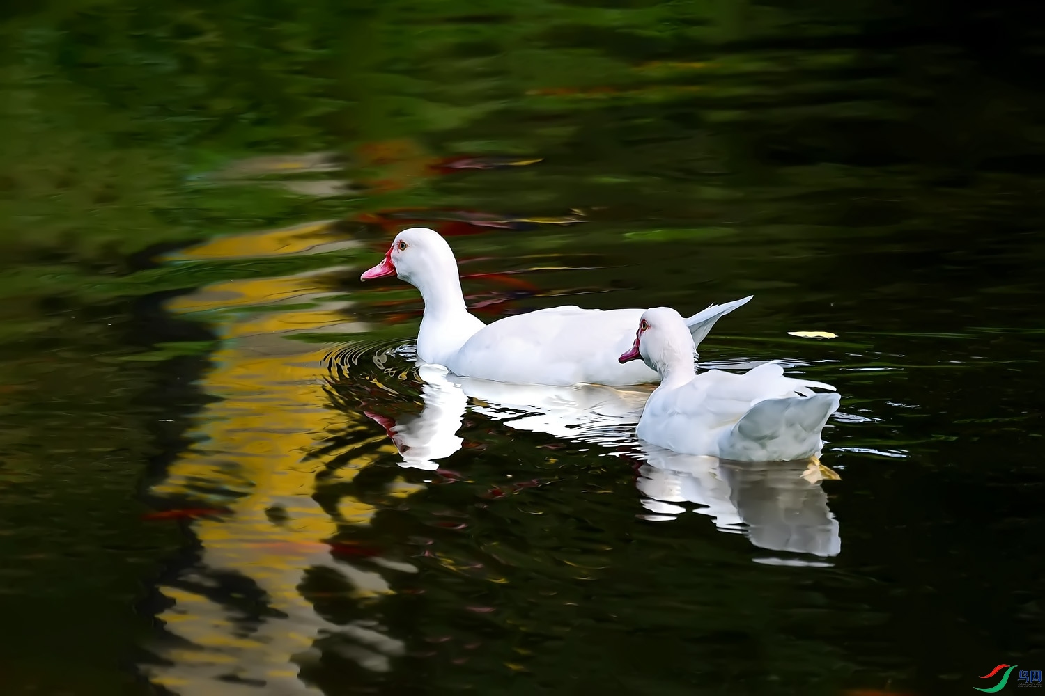 DSC_8198.jpg