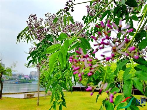 ΢��ͼƬ_20220418112139 - ����.jpg