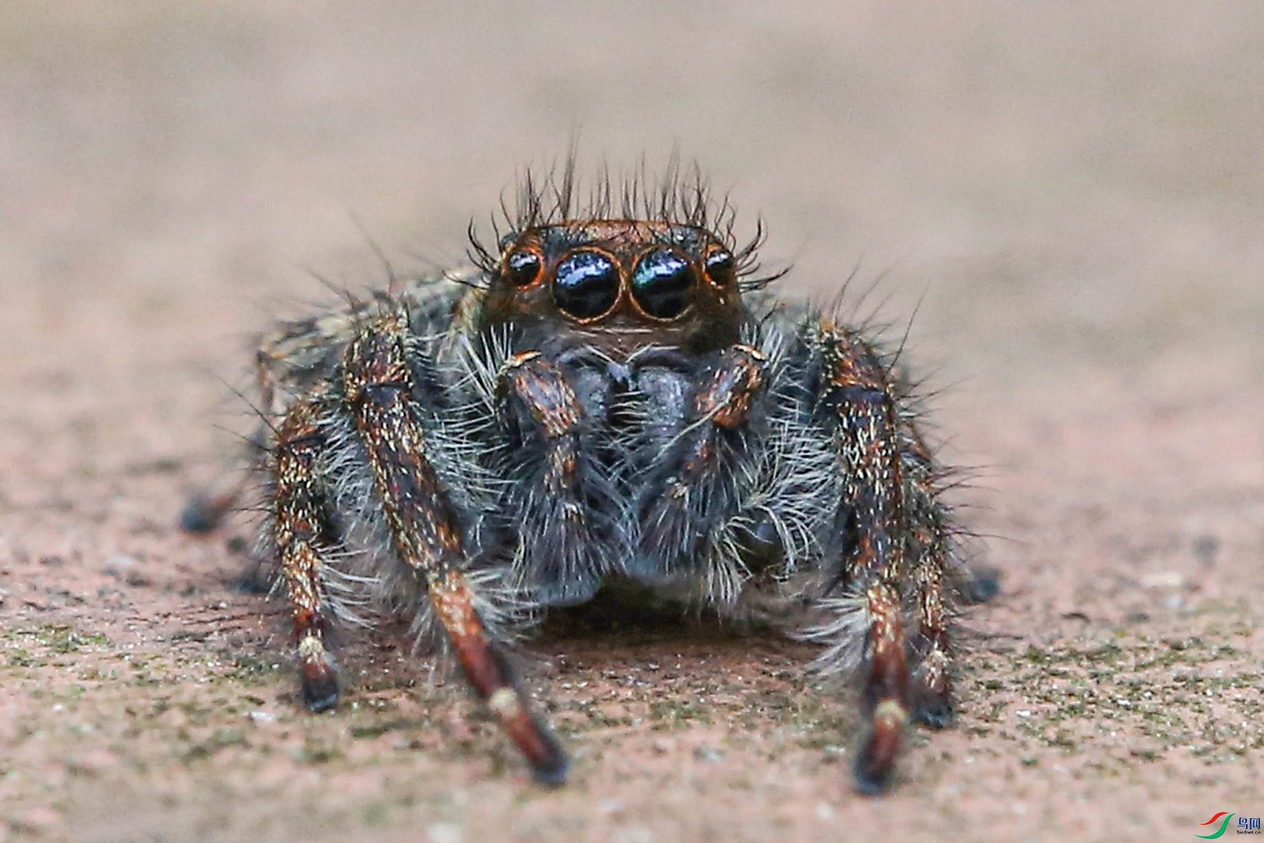 1C6A9370.jpg