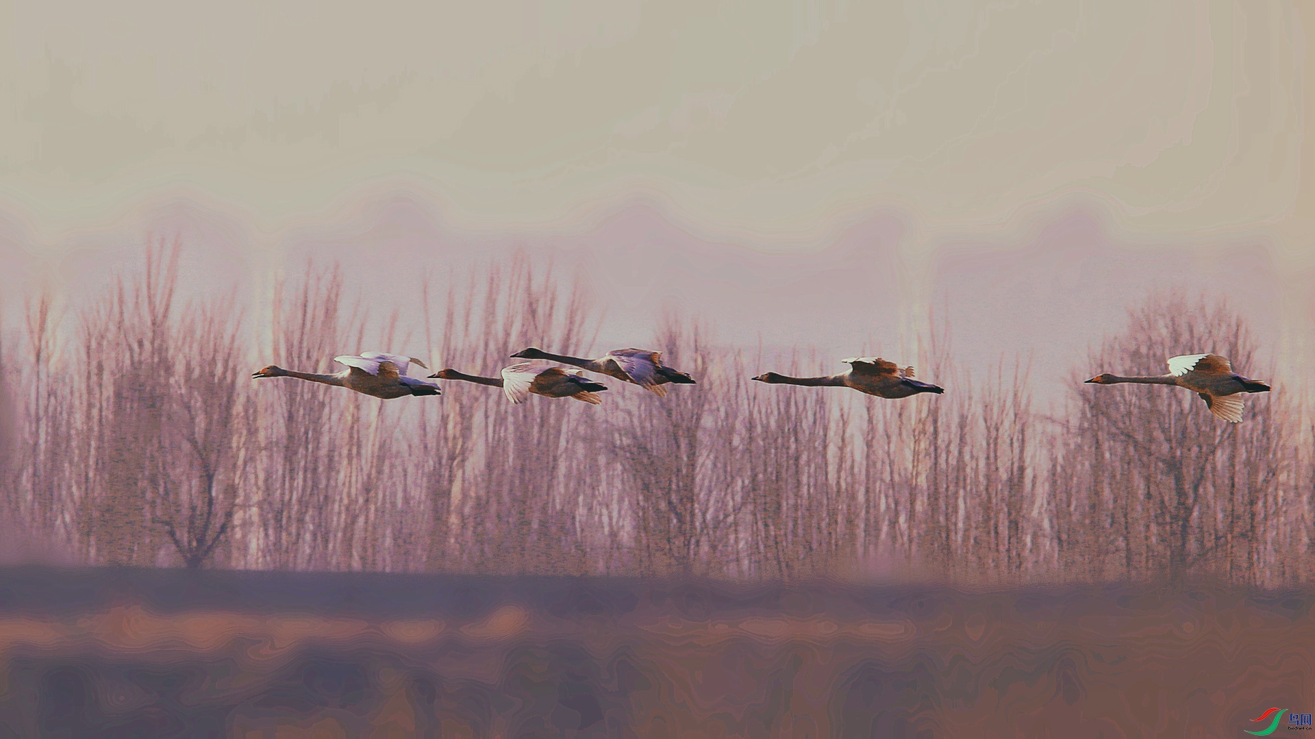DB4W6384_����.jpg