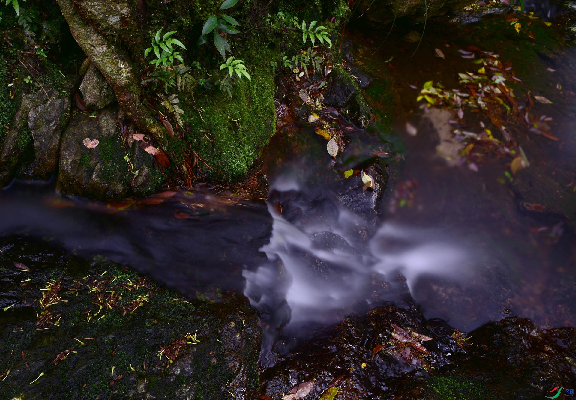D8I_3434.jpg