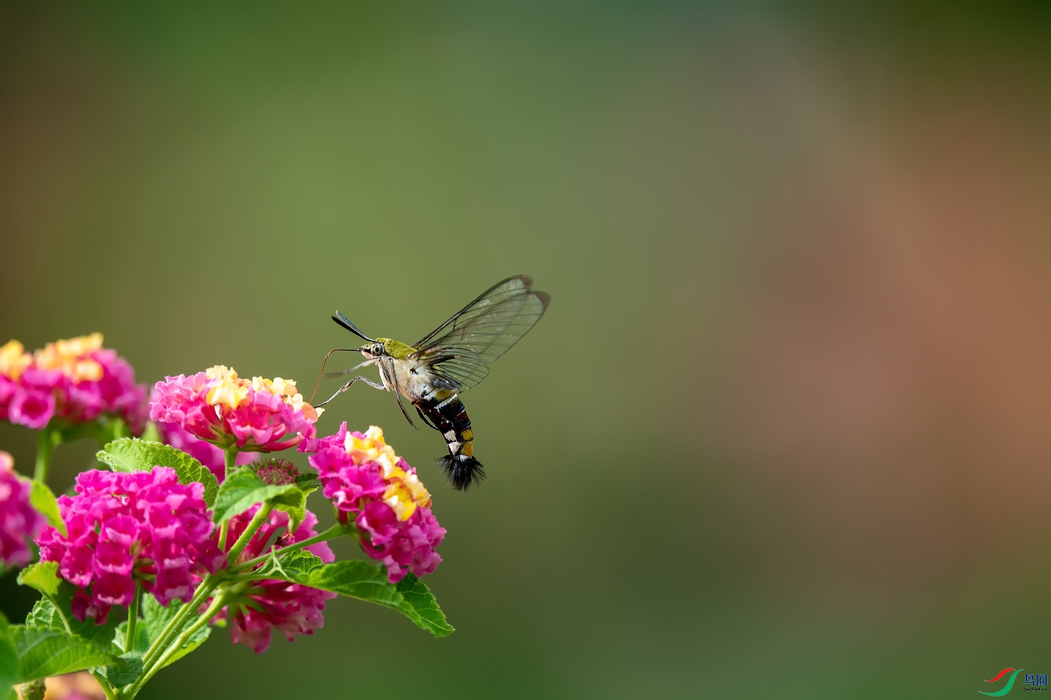 A9D03620a.jpg