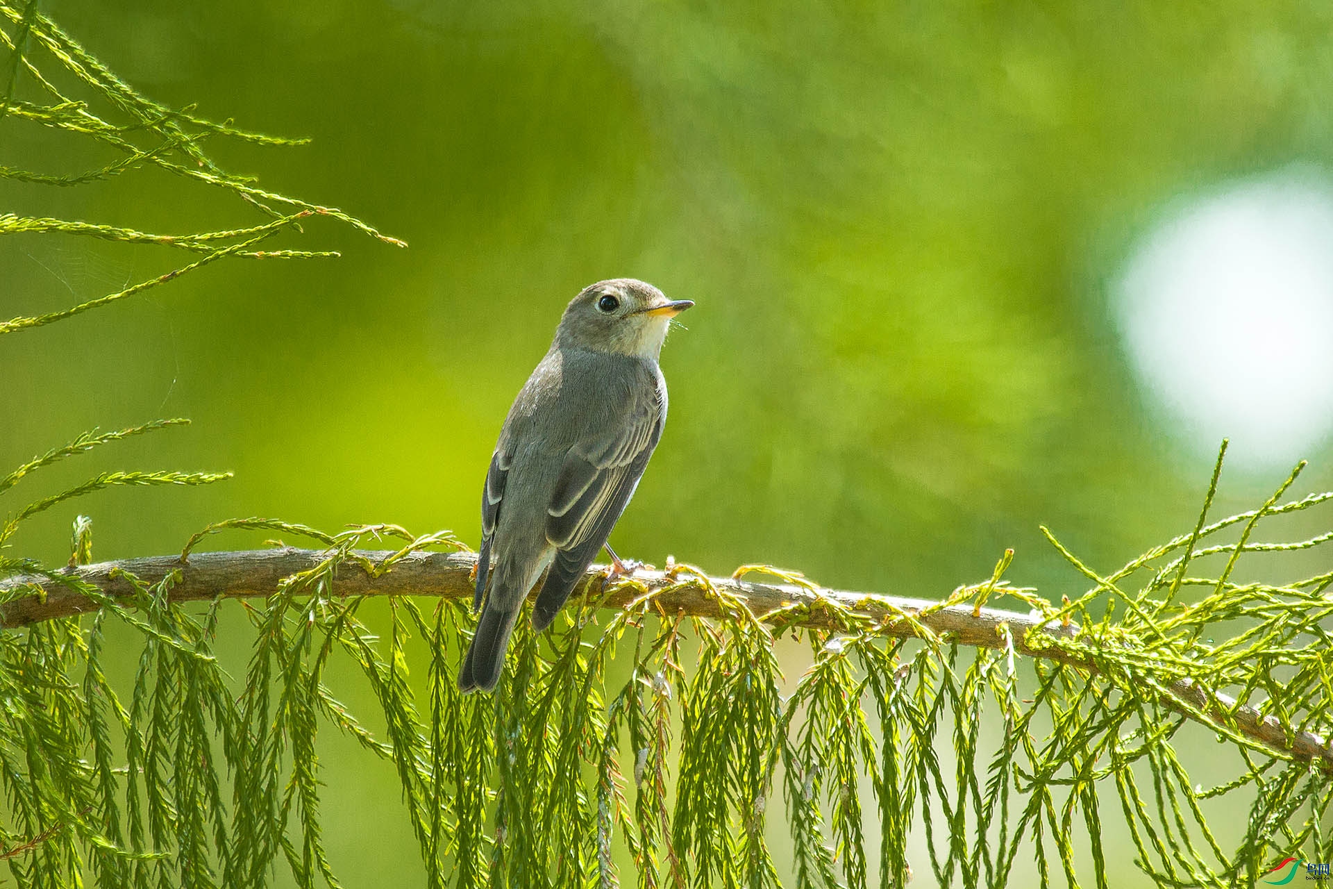 051A8160.jpg