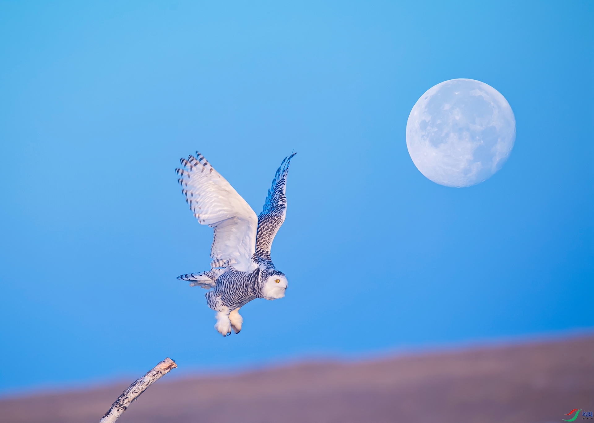 ���£���ݶ� 15591821688��.jpg