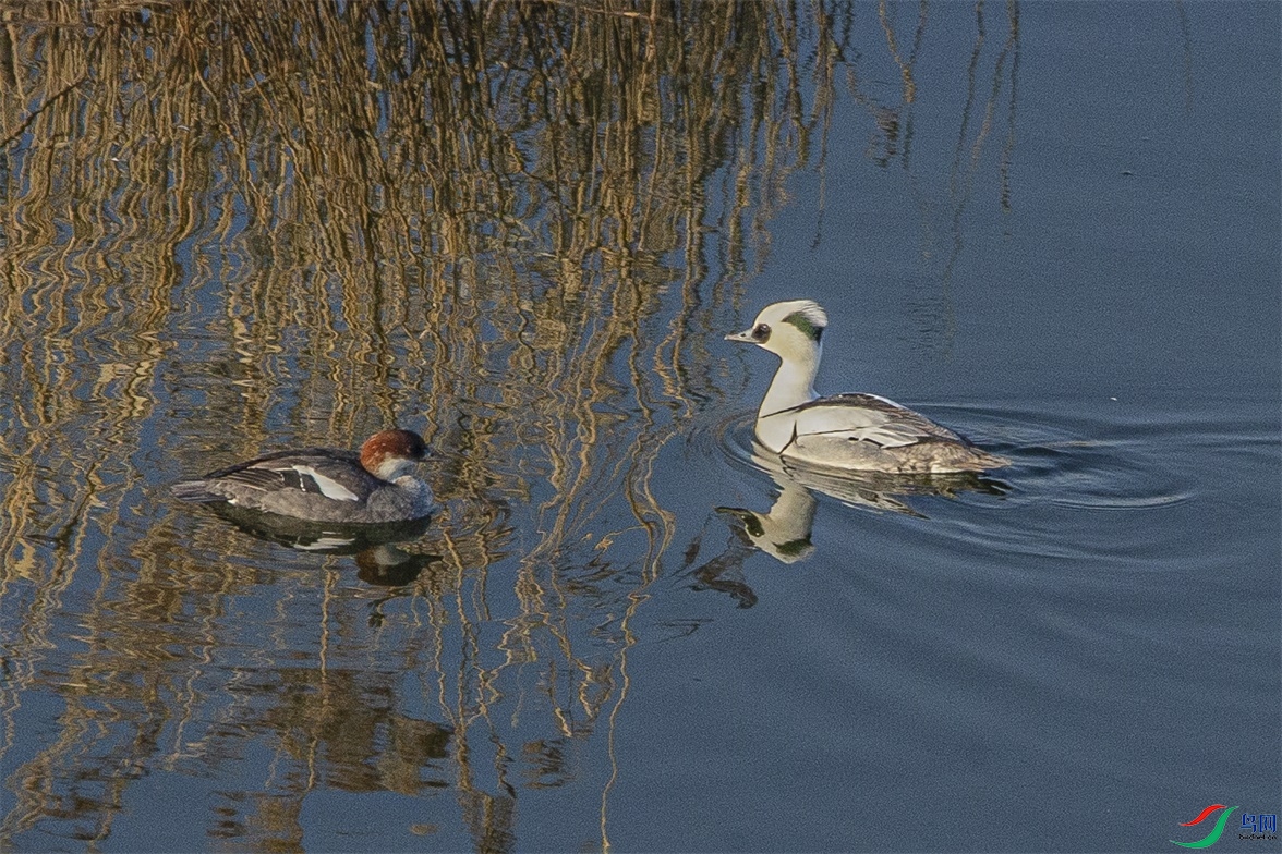 DK7T0325 ����1.jpg