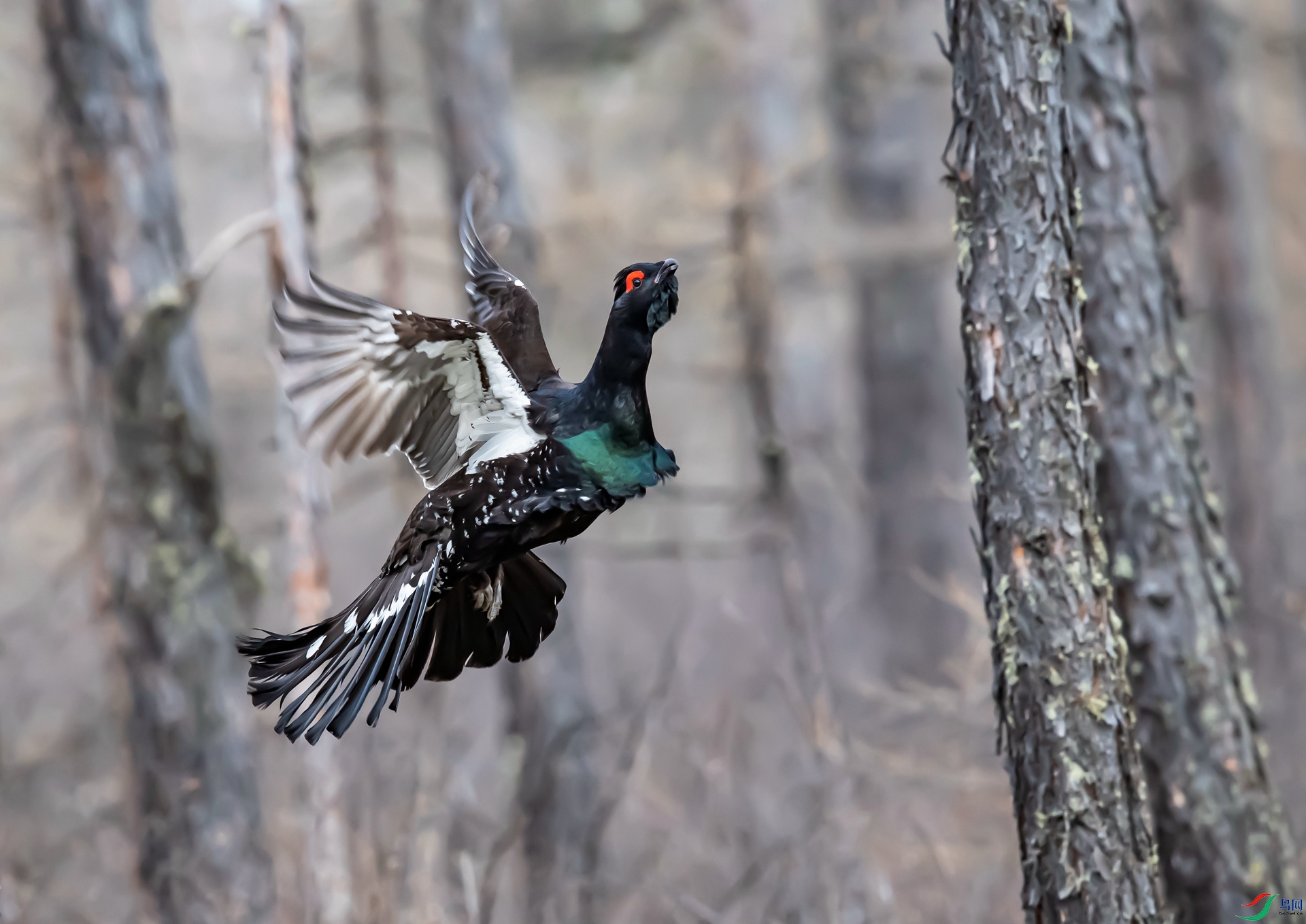 �����ɼ�����ݶ� 15591821688��.jpg