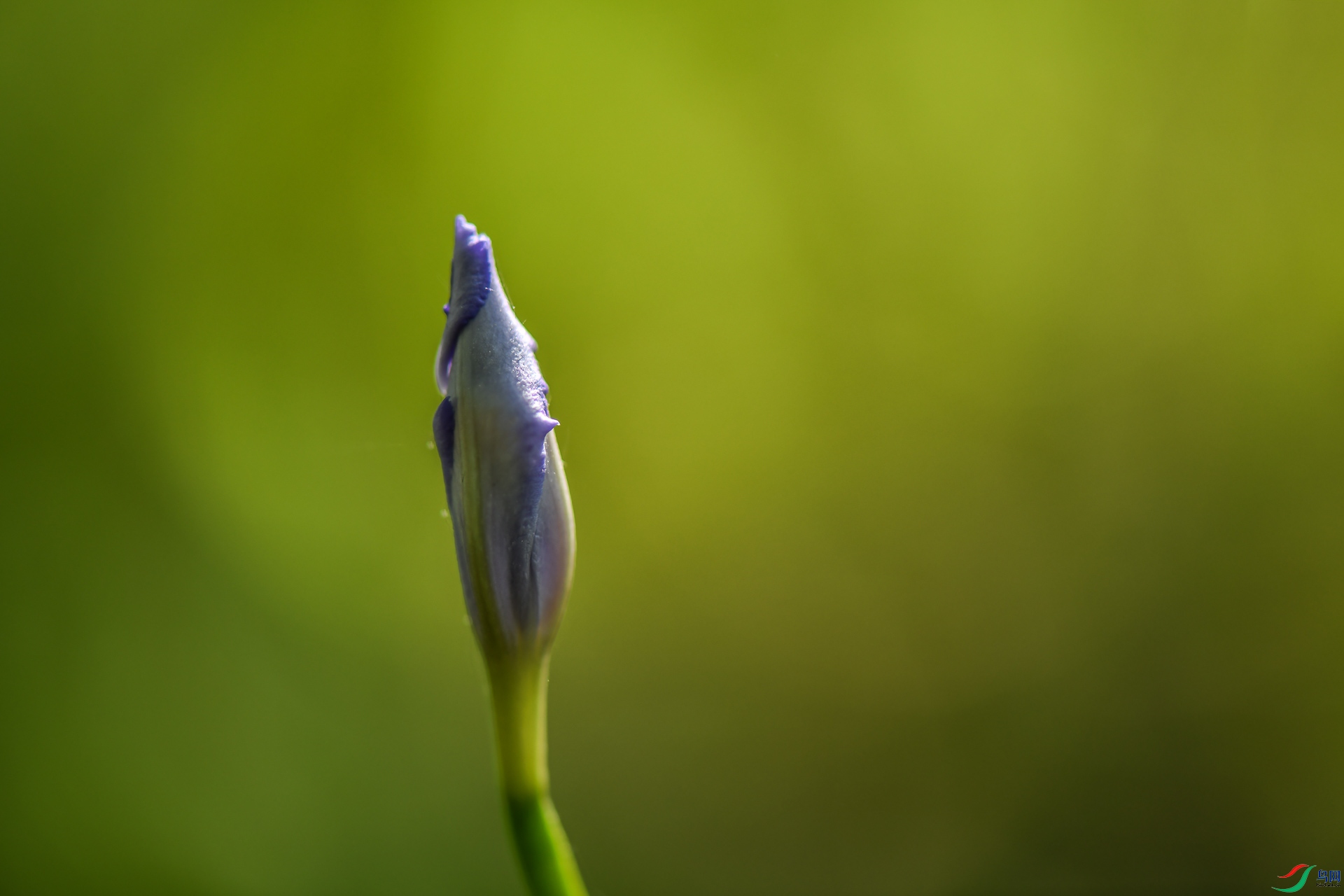 DSC_7658.jpg