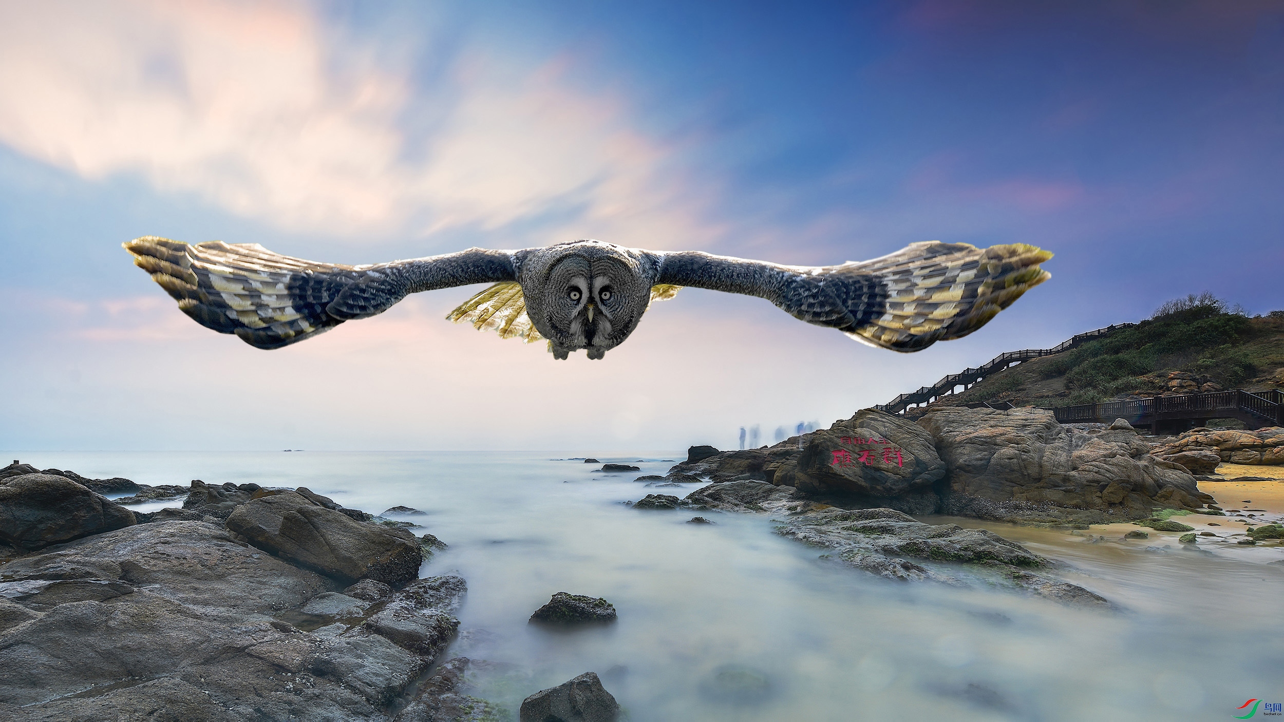 aDSC_5120X ����.jpg