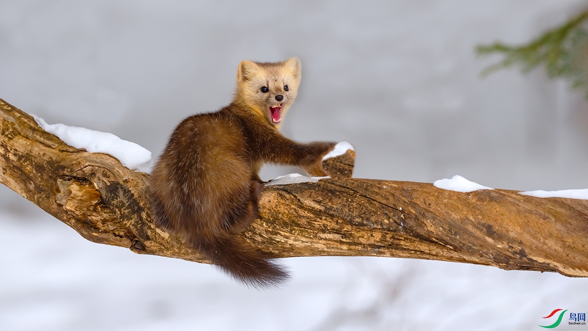 DSC07456 ����.jpg