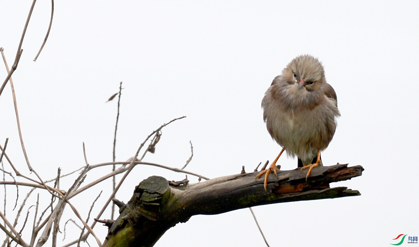 DSC_1245.jpg