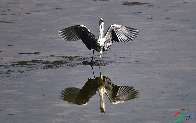 DSC_4740.JPG