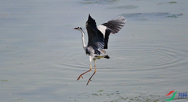 DSC_4782.JPG