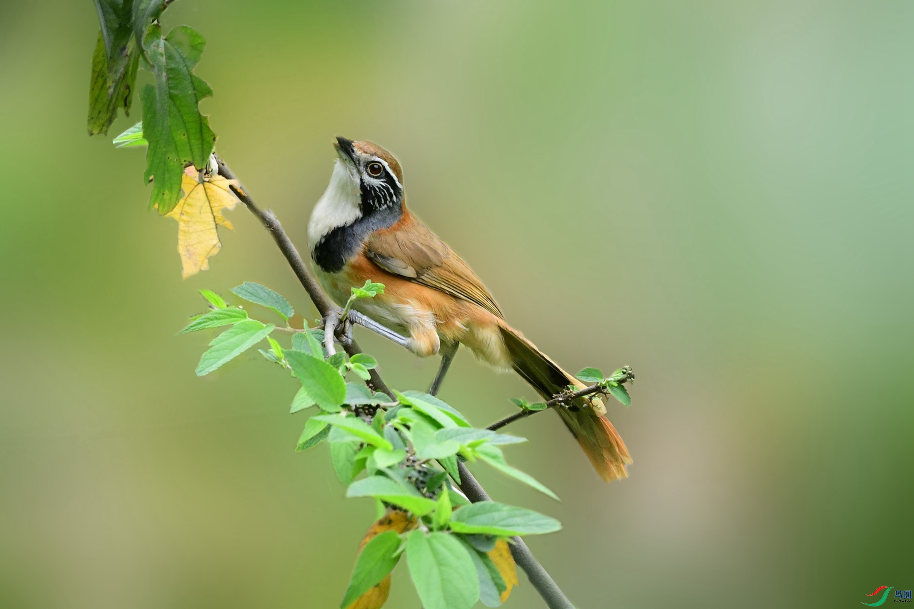 DSC_2676_�����ຣ.jpg