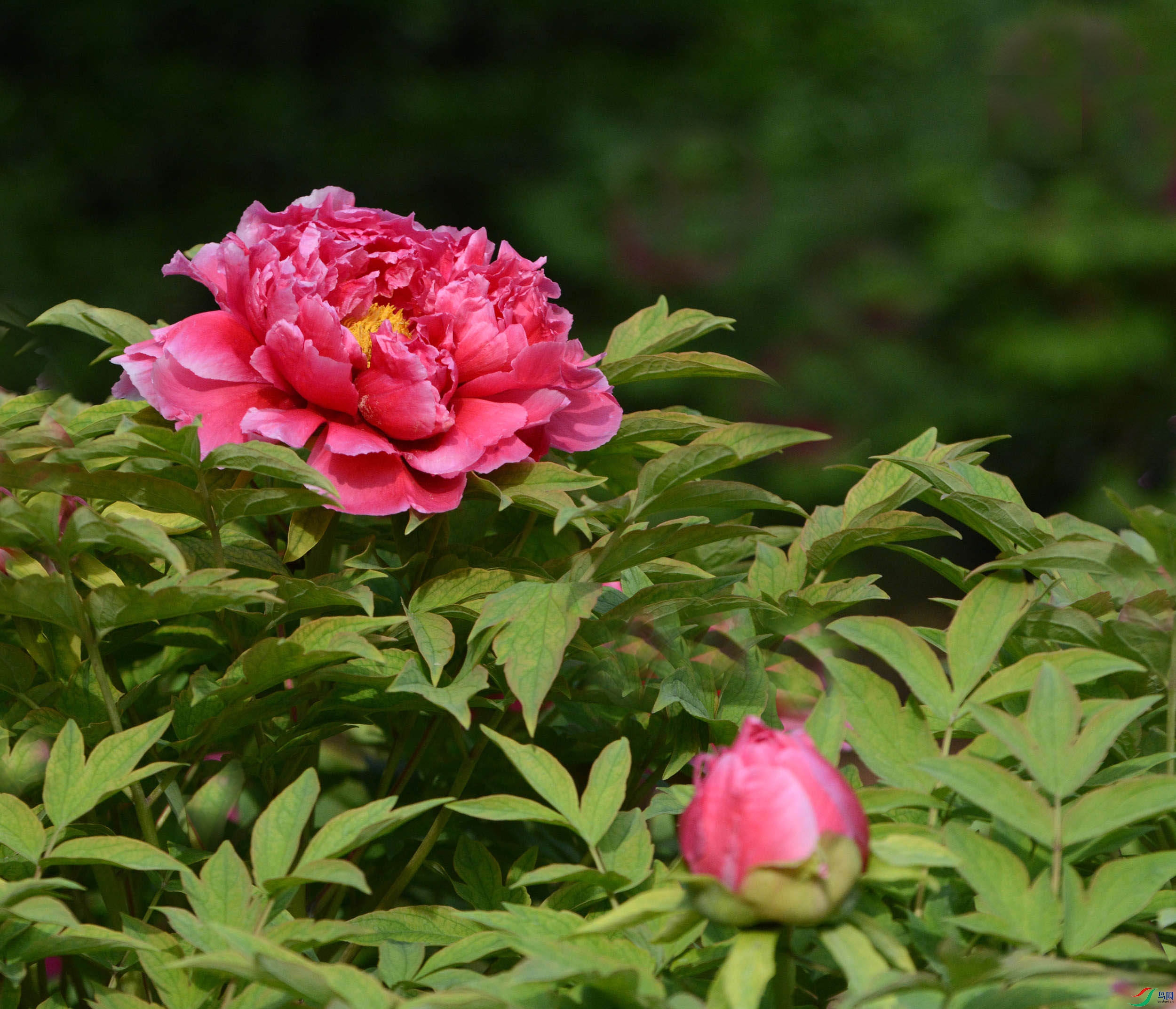 DSC_5701_����.jpg