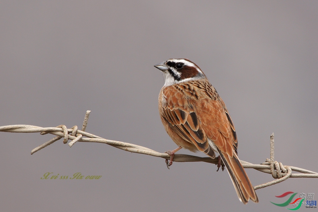 ��������  ��ʦ�����ڹ���ʡǭ���ϲ�����������������������������.jpg