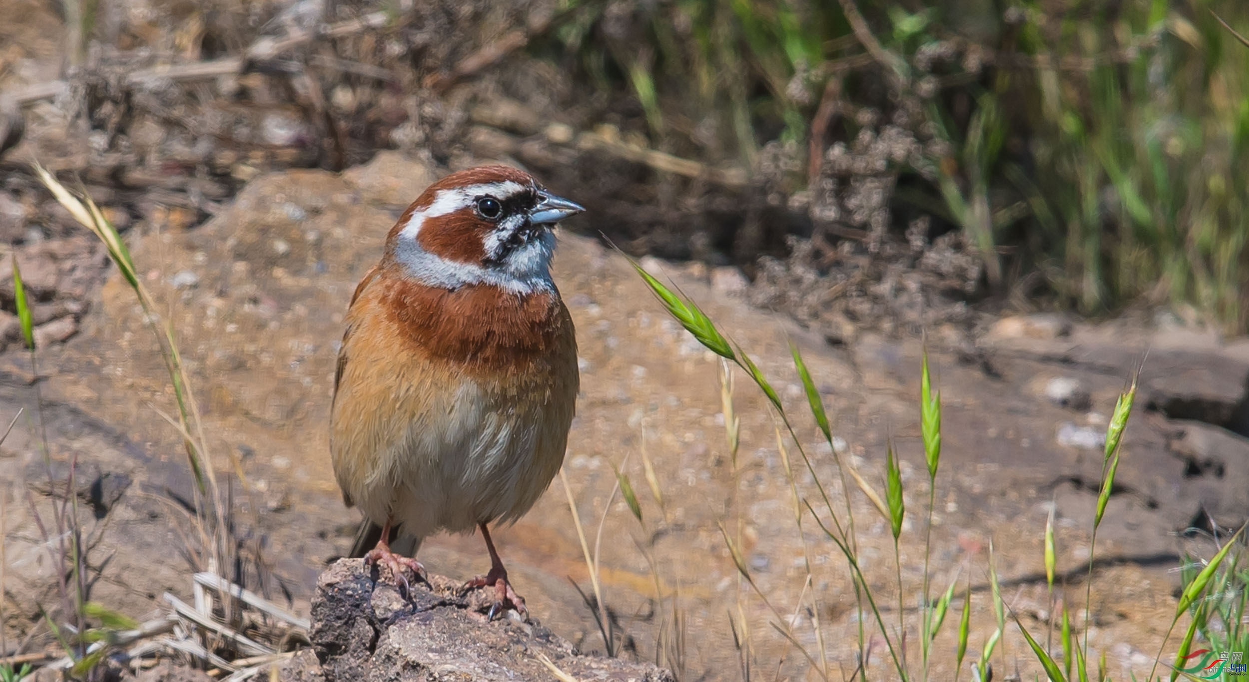 �����~�춣��  ��ʦ����.jpg