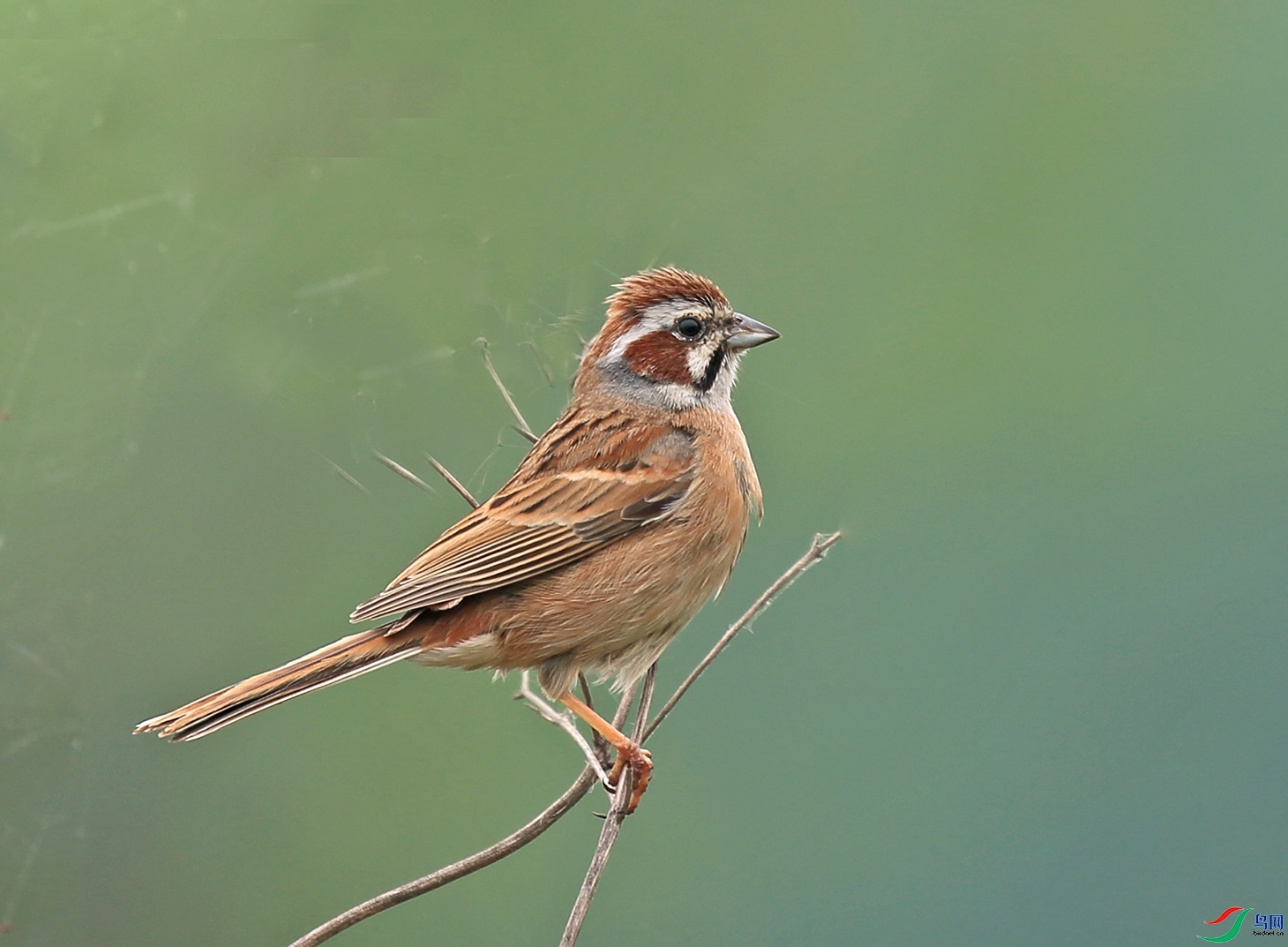 �ඡ����  ��ʦ�������ʡ �差�� �ȳ���.jpg