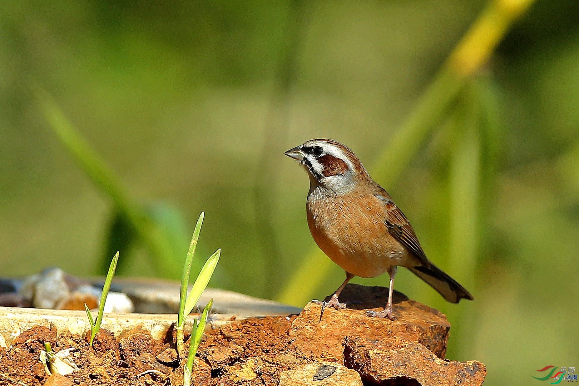 �绢����  ��ʦ����.jpg