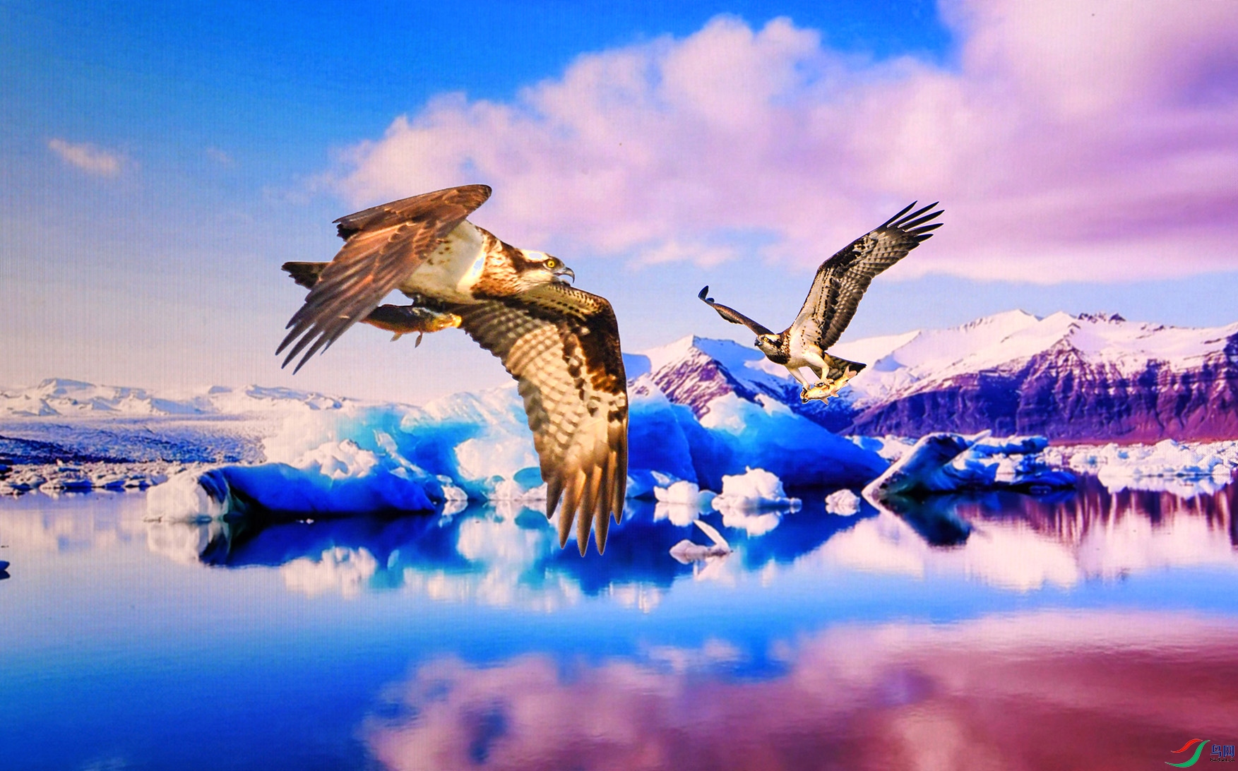 5.����س�_��3939AM.jpg