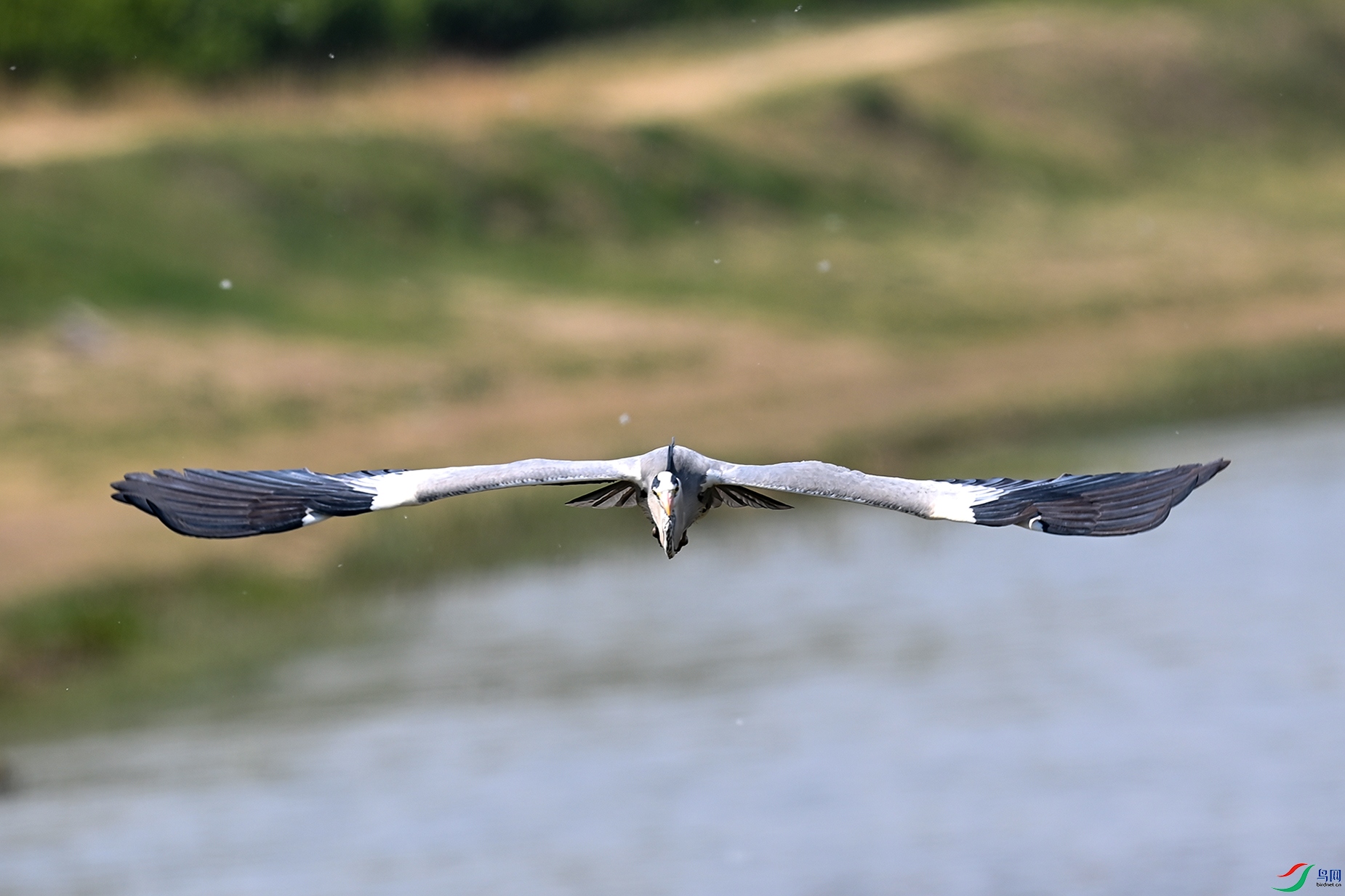 DSC_2470.JPG